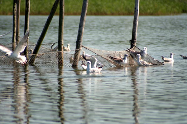 Malchiner See